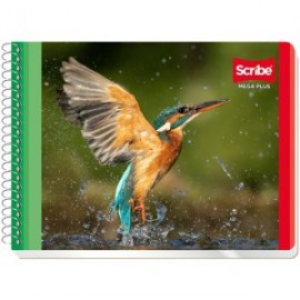 SCR-CUA-C4533 / 1004533 Cuaderno Scribe forma italiana mega plus cuadro grande (7 mm), con 100 hojas