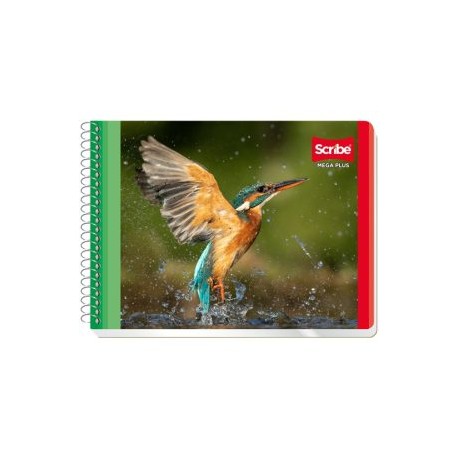 SCR-CUA-C4533 / 1004533 Cuaderno Scribe forma italiana mega plus cuadro grande (7 mm), con 100 hojas