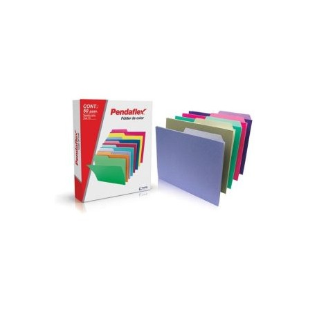 ESS-FOL-05012SL / C0050 1/2 SL FOLDER PENDAFLEX CARTA LITE C/50