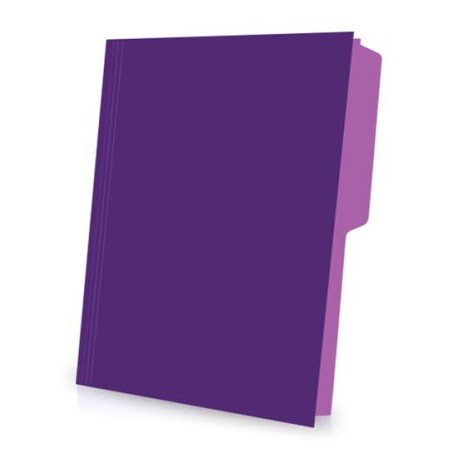 ESS-FOL-02512VI / C00251/2VI FOLDER PENDAFLEX CARTA VIOLETA C/25