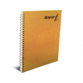 RAY-CUA-10PREC7 / 10PREC7 Cuaderno profesional d/cuadroc/100 h