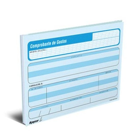 RAY-POL-08COGA / 08COGA COMPROBANTE DE GASTOS 1/4 DE CARTA