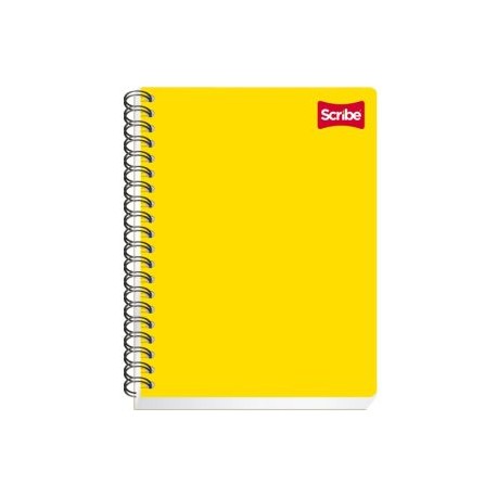 SCR-CUA-2902 / 1012902 CUADERNO PROFESIONAL CLASICO